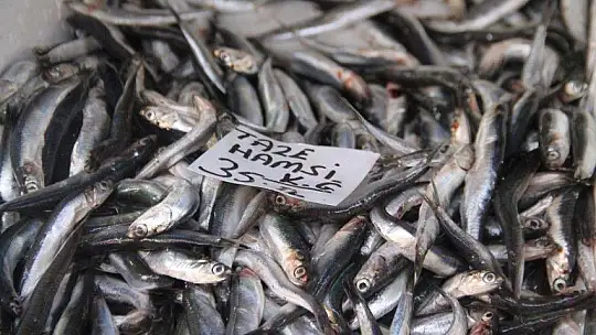 Balık av sezonun açılması ile tezgahlar şenlendi