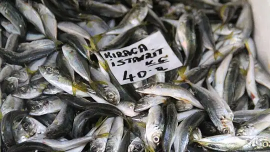 Balık av sezonun açılması ile tezgahlar şenlendi