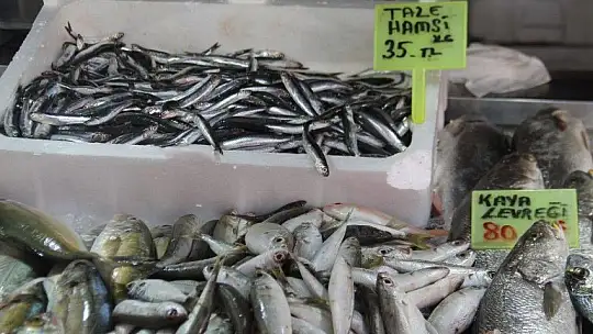 Balık av sezonun açılması ile tezgahlar şenlendi