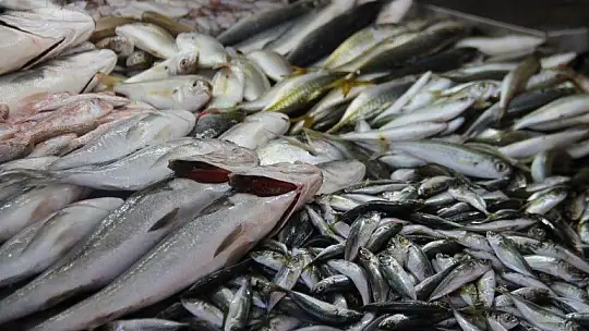 Balık av sezonun açılması ile tezgahlar şenlendi