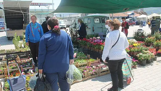 Fide ve Çiçek Satışlarında Patlama
