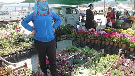 Fide ve Çiçek Satışlarında Patlama