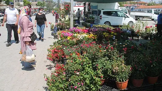 Fide ve Çiçek Satışlarında Patlama