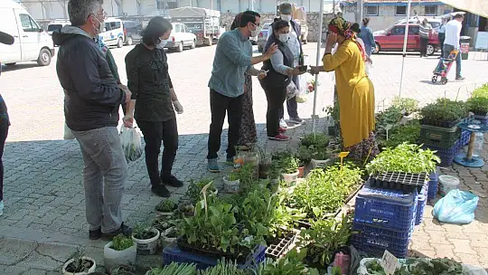 Fide ve Çiçek Satışlarında Patlama