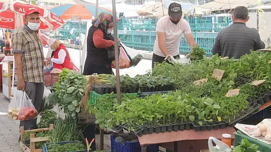 Fide ve Çiçek Satışlarında Patlama