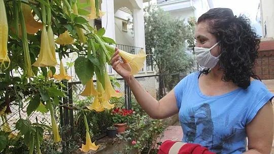 Pandemiyi Yenen Hemşire, Yaşadığı Zorlu Süreci Anlattı