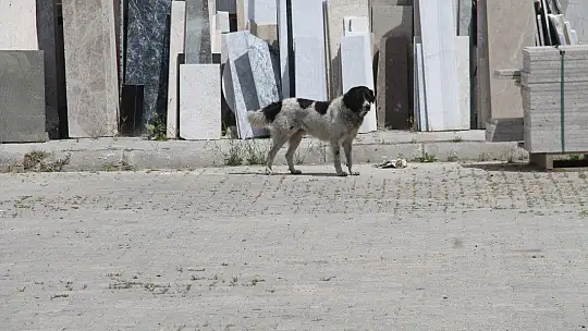Fethiye de Sessizliğe Büründü