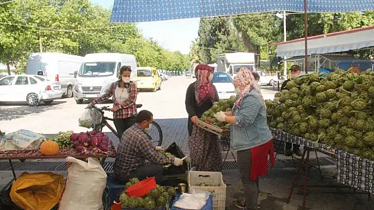 Salı Pazarı'nın gözdesi enginar oldu
