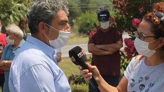 AĞAÇ KATLİAMINA TEPKİ BÜYÜYOR