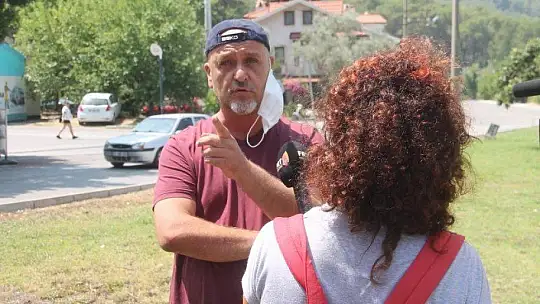 AĞAÇ KATLİAMINA TEPKİ BÜYÜYOR