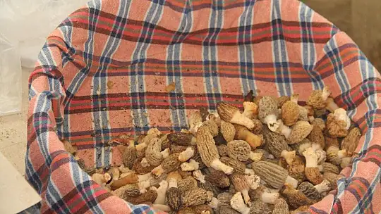 Salı Pazarı'nda normale dönüldü