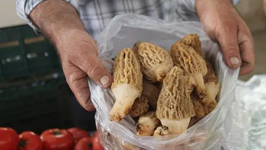 Salı Pazarı'nda normale dönüldü