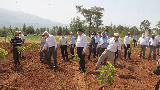 Gürün, 'Çiftçiden alıp, pazarda satmıyoruz'