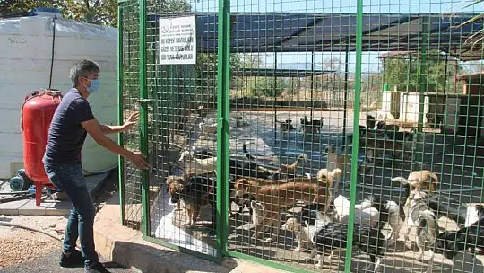 Cangara, 'Hayvan sahiplenirken iki kez düşünelim'