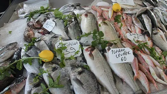 Halka Taze Ve Günlük Balık Sunuyorlar