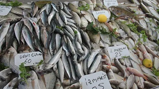 Halka Taze Ve Günlük Balık Sunuyorlar