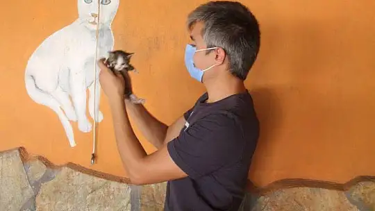 Cangara, 'Hayvan sahiplenirken iki kez düşünelim'