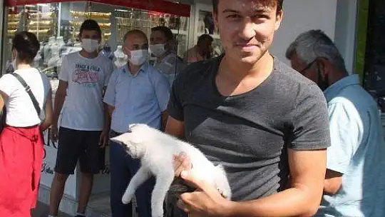 Ağaçta kalan kediyi duyarlı vatandaş kurtardı