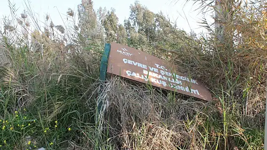 EMRE, 'KUŞ CENNETİNİ YAPAY OLARAK YAPAMAZSINIZ, ANCAK KUŞ ORAYA GELİRSE KUŞ CENNETİ OLUR' 