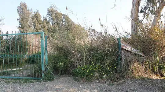 EMRE, 'KUŞ CENNETİNİ YAPAY OLARAK YAPAMAZSINIZ, ANCAK KUŞ ORAYA GELİRSE KUŞ CENNETİ OLUR' 