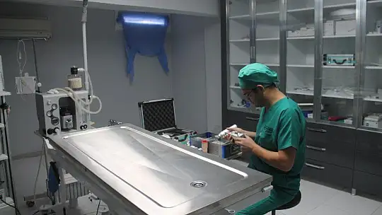 Ege Ve Akdeniz Bölgelerinde İlk Ve Tek