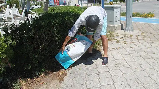 Bayramda Sokak Hayvanları da Unutulmadı