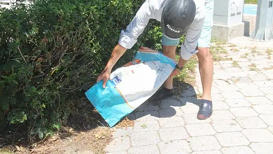 Bayramda Sokak Hayvanları da Unutulmadı