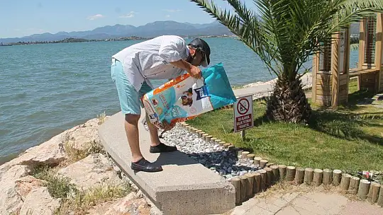 Bayramda Sokak Hayvanları da Unutulmadı