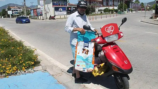 Bayramda Sokak Hayvanları da Unutulmadı