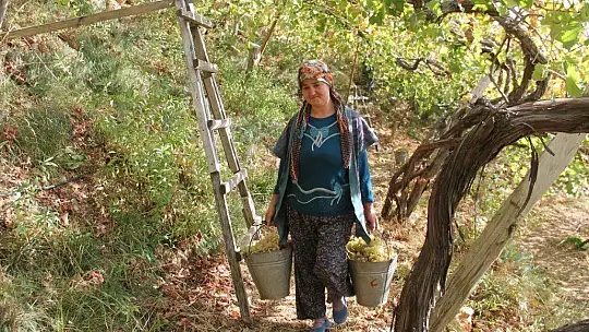 Üzümde masraflar artarken fiyatlar düştü