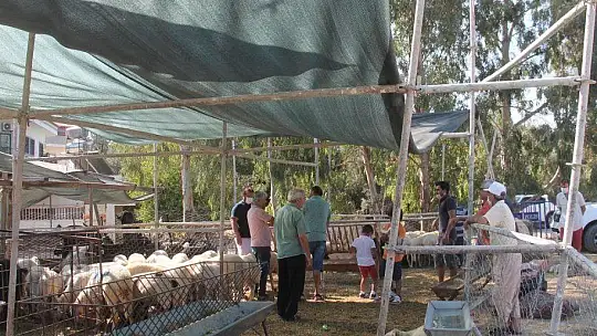 Bayramın birinci gününde yoğunluk yaşandı