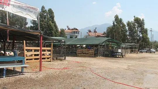 KURBANLIKLARIN ÇOĞU BAYRAMIN 1. GÜNÜ SATILDI