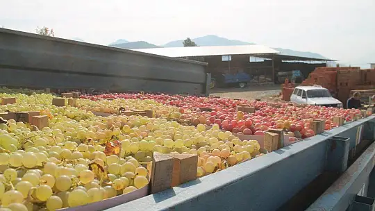 Üzümde masraflar artarken fiyatlar düştü