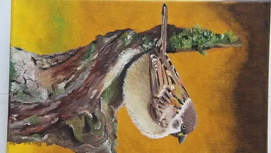 Karma Resim Sergisi Göz Kamaştırdı