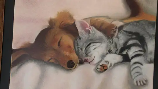 Karma Resim Sergisi Göz Kamaştırdı