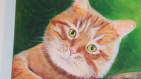 Karma Resim Sergisi Göz Kamaştırdı