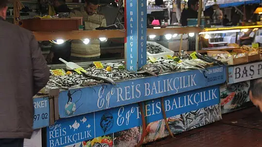 Balık bollaştı, fiyatları düştü