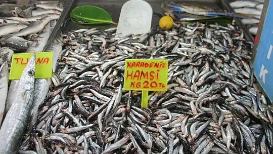 Balık bollaştı, fiyatları düştü