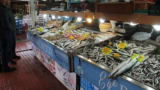 Balık bollaştı, fiyatları düştü