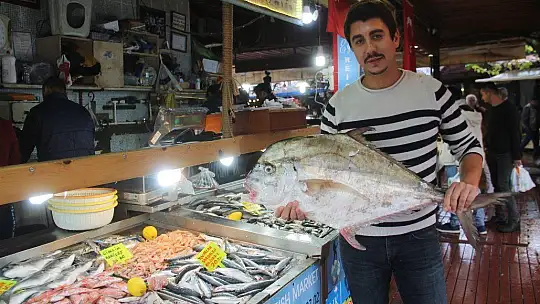 Balık bollaştı, fiyatları düştü