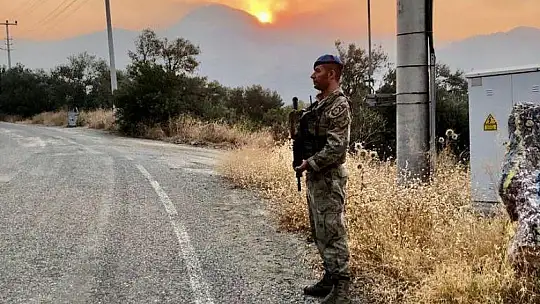Jandarma ekipleri Datça'daki orman yangını için topyekün seferber oldu