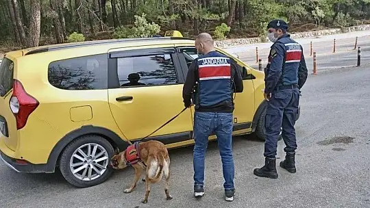 Jandarmanın Covid-19 denetimleri sürüyor