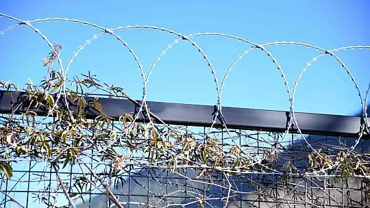 Fethiye Belediyesi'nden hayvanseverleri sevindirecek karar