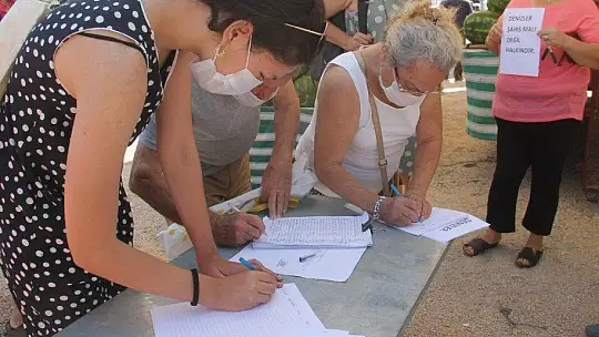 AKMAZ PLAJI İÇİN İMZA KAMPANYASI BAŞLATILDI