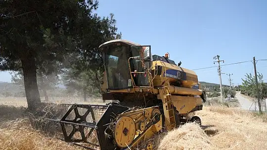 Karaova'da hasat zamanı