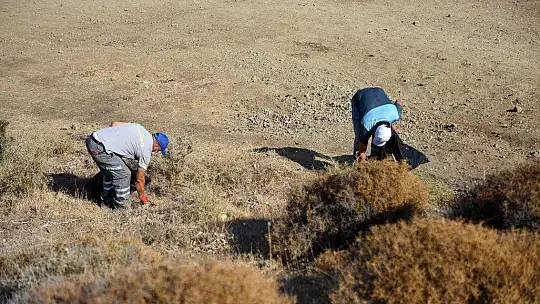 Karataş Mevkii'nde temizlik yapıldı
