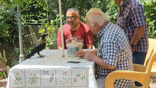 Karga kendisine yapılan iyiliği unutmadı