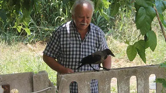 Karga kendisine yapılan iyiliği unutmadı
