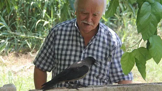 Karga kendisine yapılan iyiliği unutmadı