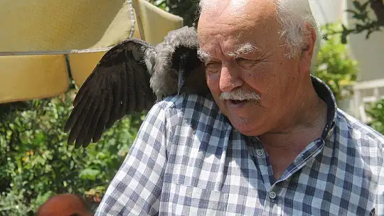 Karga kendisine yapılan iyiliği unutmadı
